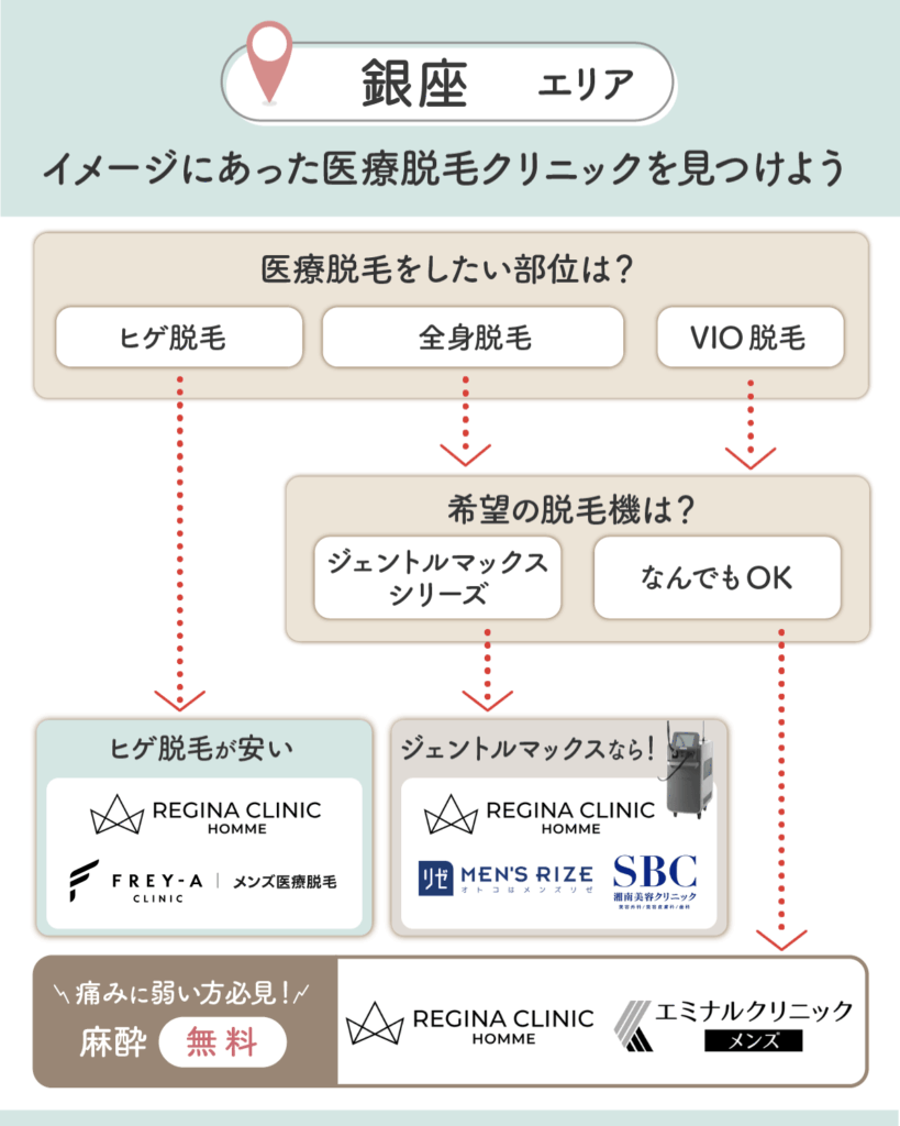 銀座のメンズ脱毛チャート