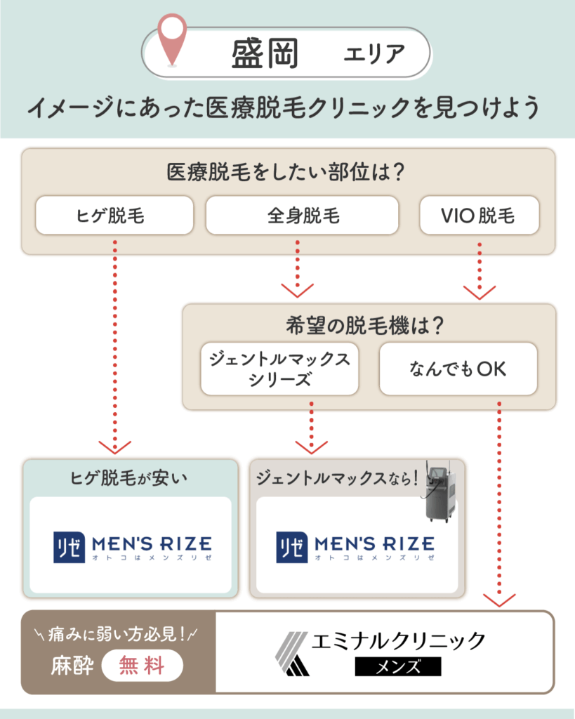 盛岡のメンズ脱毛チャート